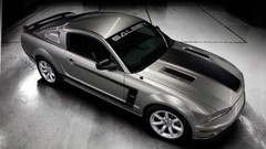Saleen vehicles 2008 Ford mustang