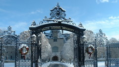 Salve snowy gates high