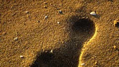 Sand Beaches footprint