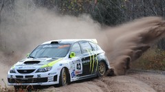 Sand cars dust rally