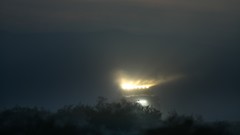 Sand dirt splashes rally larry racing speedhunters chen speed 