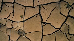 Sand drought cracks deserts