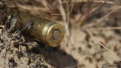 Sand Flowers ammunition bullets