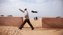 Sand funny Beaches walking way