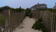 Sand houses Plants