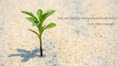 Sand Quotes Plants