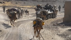 Sand War Army cars germany wheels Canada shooting military 