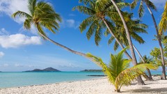 Sand white paradise lagoon Bora Bora palm trees French 