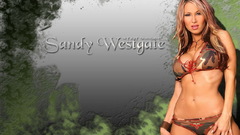 Sandee Westgate