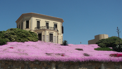 Sardinia algherohouse architecture Roof