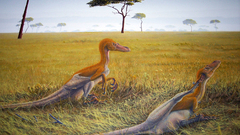 Savannah raptors high