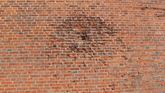 Scar high ) With Resolution img