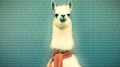 Scarfs Fuck llama