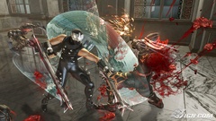 Scene ninja bloody gaiden