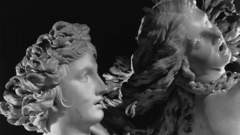 Sch looking for some