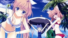 School plum anime girls blue eyes brunettes nekomimi animal 