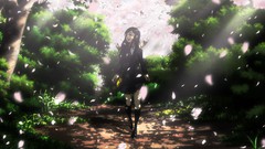 School spring knee socks