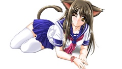 School uniforms nekomimi animal