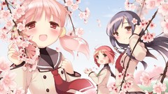 School uniforms sakura musubi