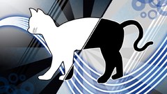 Schrodinger cat by chubas7