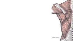 Science medicine Simple Background