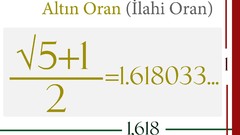 Science root mathematics numbers Fibonacci golden ratio divine 