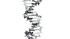 Science Technology biology genetics