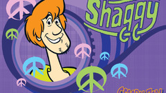 Scooby Doo shaggy