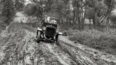 Scotch is better than