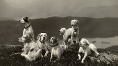 Scotland edinburgh scottish