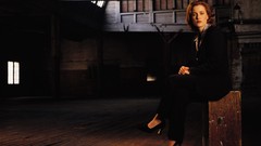 Scully The X-Files Celebrity