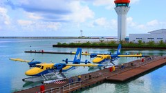 Sea Aircraft tower dock seaplane seabird
