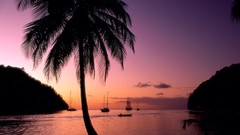 Sea bay Boats palm trees silhouettes saint lucia