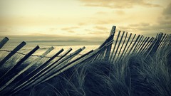 Sea Beaches water Landscapes