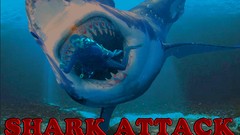 Sea blue attack diver Sharks shark attack