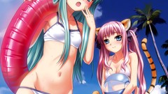 Sea blush anime girls nekomimi animal ears tails bikini 