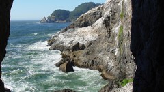 Sea coast Oregon rocks Florence USA cliff caves sea lion caves