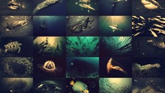 Sea Deep Blue Sea photomosaic