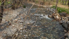 Sea Holidays Turkey Ayvalık Sarimsakli