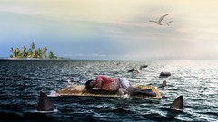 Sea Islands Sharks gull