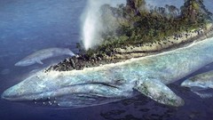 Sea Islands Whales fantasy art blue whale