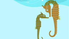 Sea lion Animals seahorse