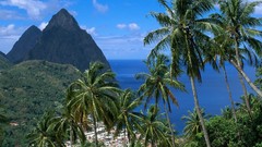 Sea Mountains palm trees saint lucia