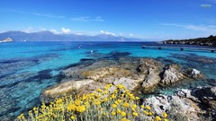 Sea nature Corsica