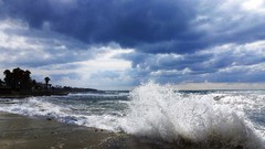 Sea nature cyprus cyprus island
