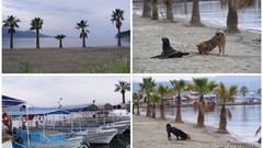 Sea nature Holidays Turkey December Mugla Marmaris Akyaka Gokova