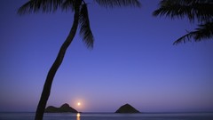 Sea nature Islands Hawaii palm trees Beaches moonrise oahu