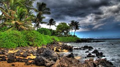 Sea nature palm trees rocks greenery