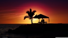 Sea nature sun summer palm trees silhouettes Beaches huts