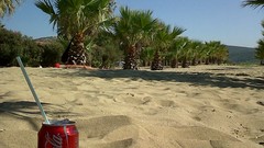 Sea ocean palm trees Beaches coca-cola Izmir